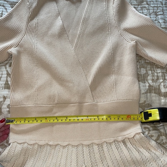 NWT Sandro Espera Dress - Picture 11 of 11